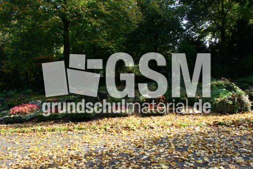 Herbst-Friedhof 020.jpg